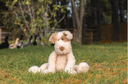 Nana Huchy - Buddy the Dog