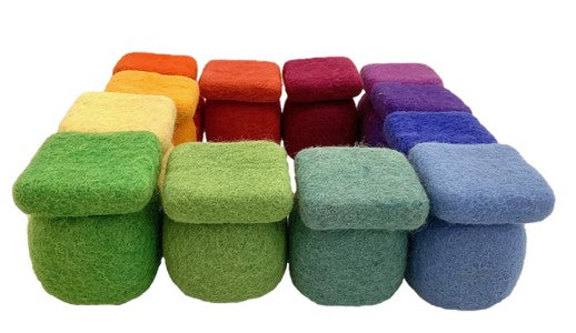 Goethe 1 Felt Tray - 49pc