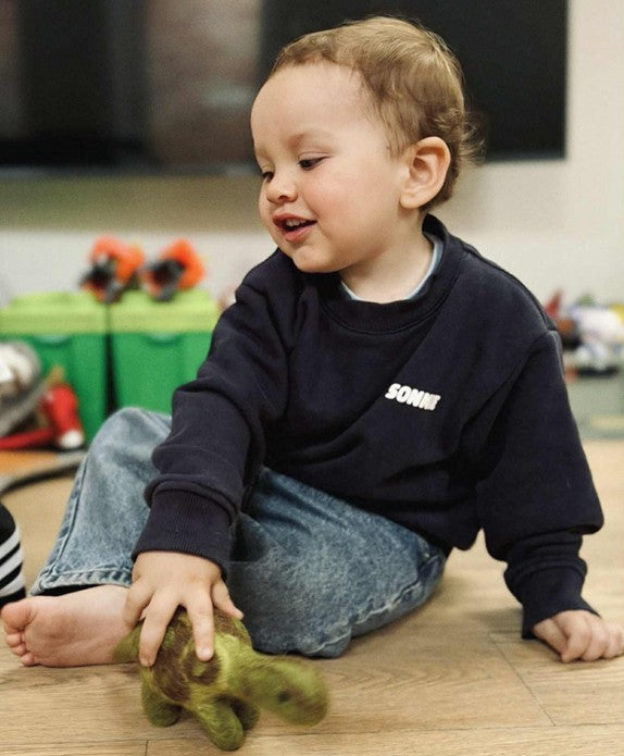 Dino the Friendly Dinosaur