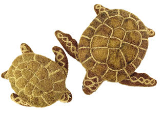 Brown Turtles 2pc