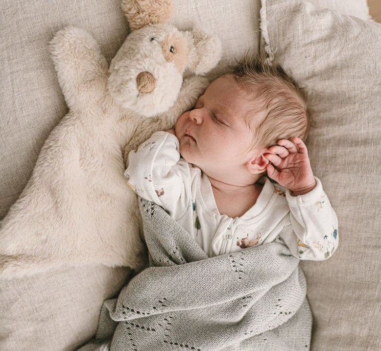 Nana Huchy - Buddy the Dog Hoochie Coochie