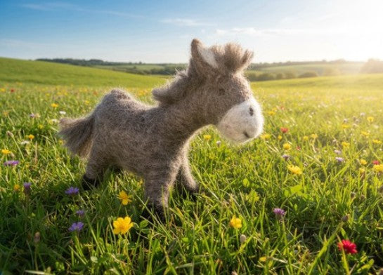 Django the Farm Donkey
