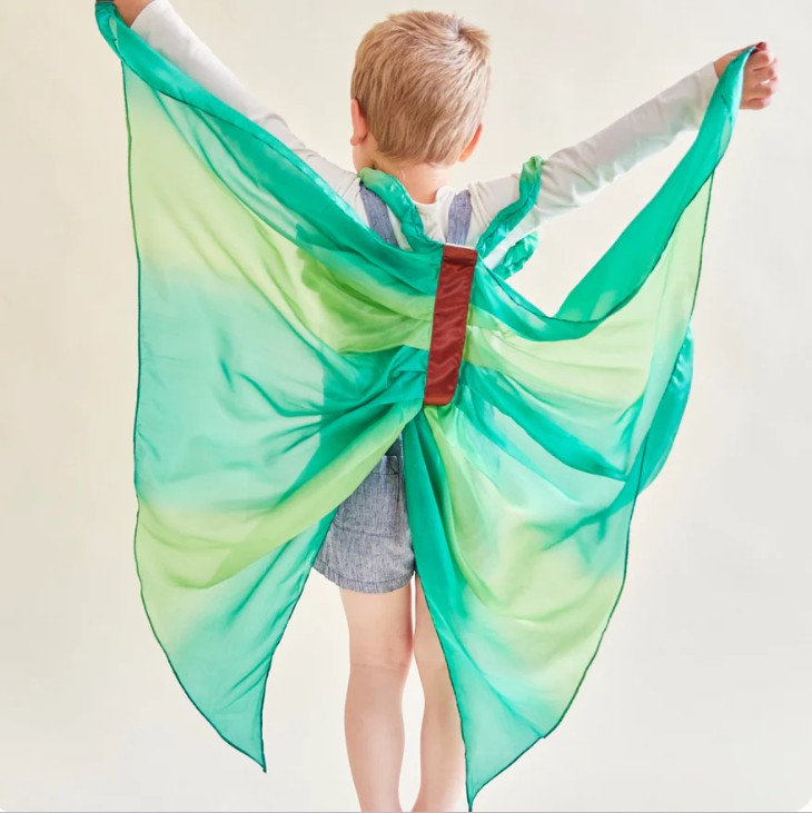 Forest Fairy Wings
