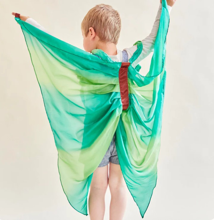 Forest Fairy Wings