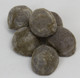 Dinosaur Rock Set - 10pc
