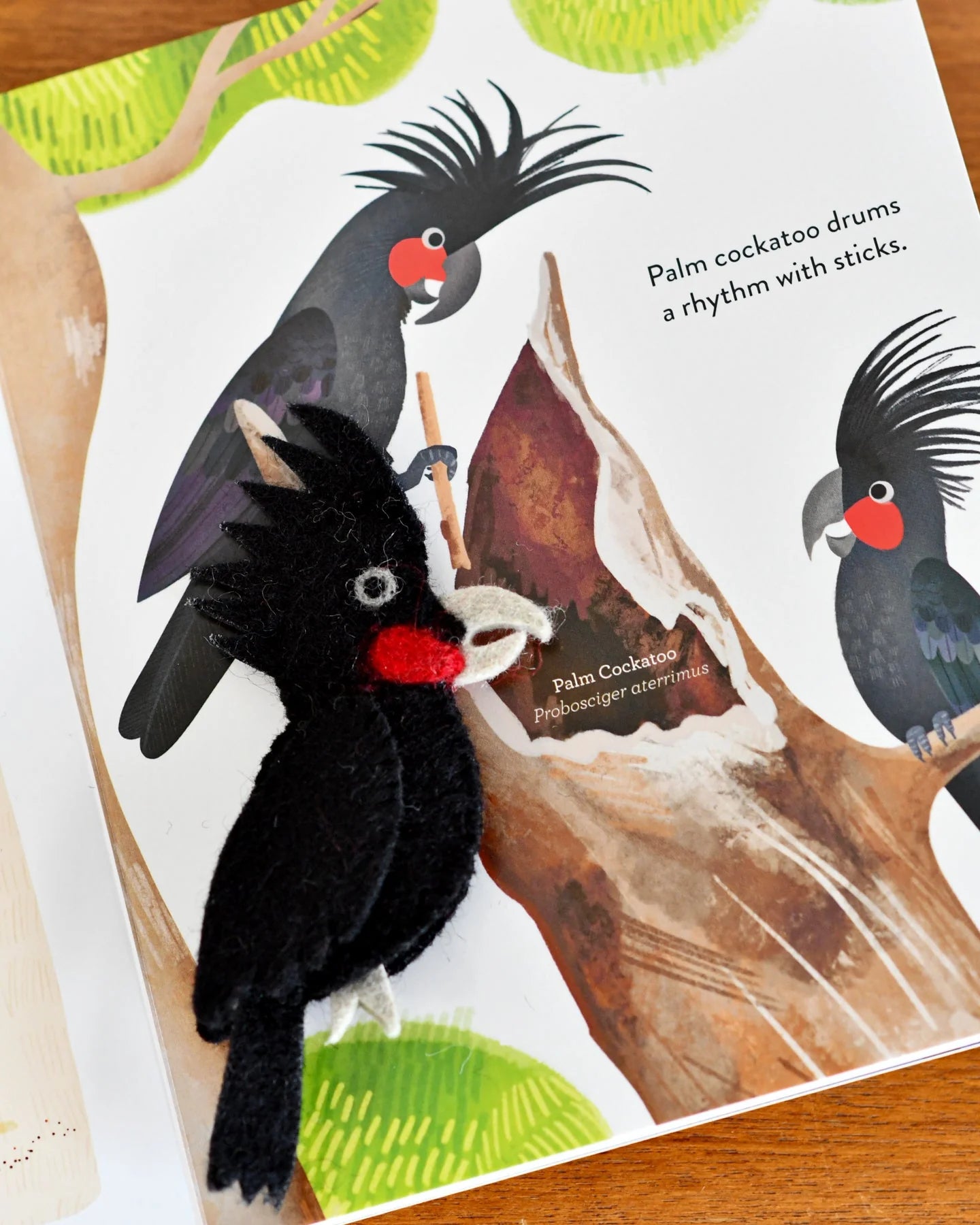 Busy Beaks Finger Puppets and Book