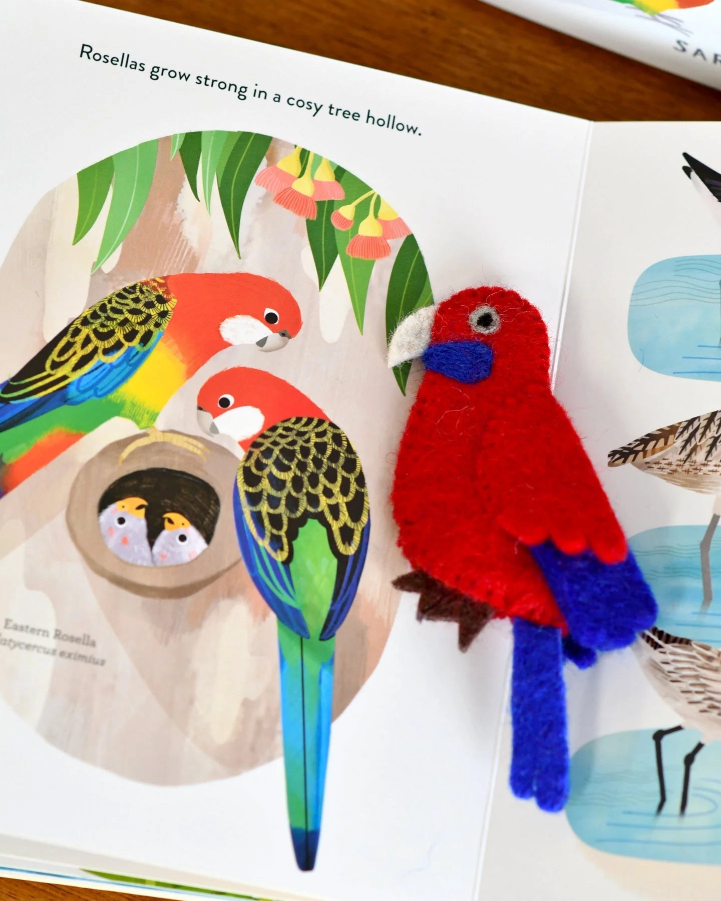 Busy Beaks Finger Puppets and Book