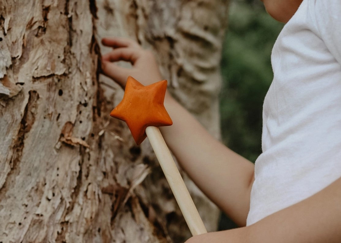 Wooden Star Wand