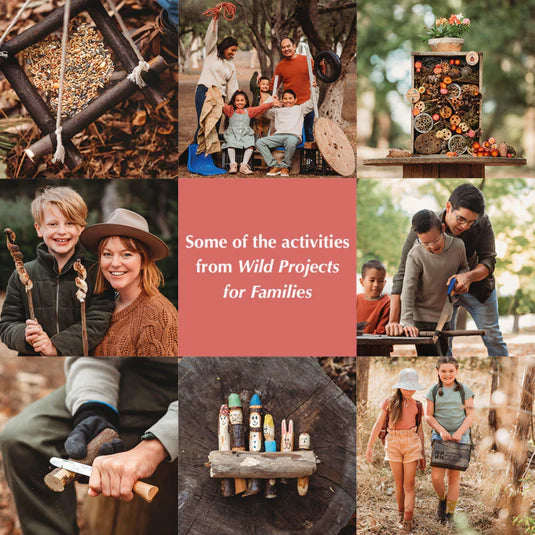 Wild Projects For Families Book