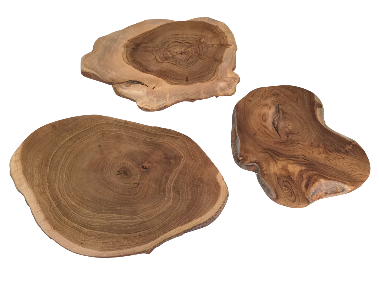 Wood Scape Slices 1pc