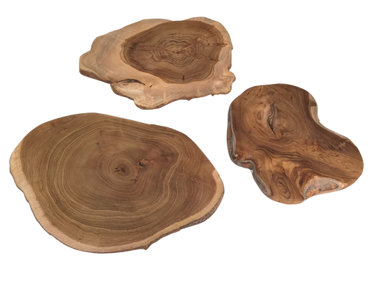 Wood Scape Slices 1pc